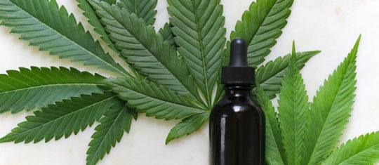 CBD